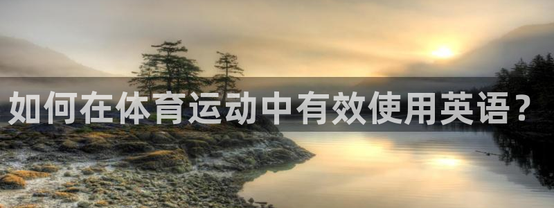 雨燕体育直播免费高清：如何在体育运动中有效使用英语？