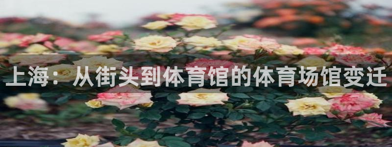 雨燕nba全场录像回放免费：上海：从街头到体育馆的体育场馆变迁