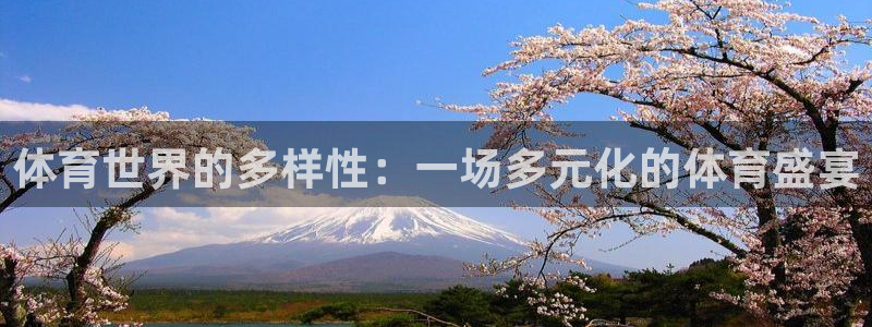 雨燕app官方下载iOS：体育世界的多样性：一场多元化的体育盛宴