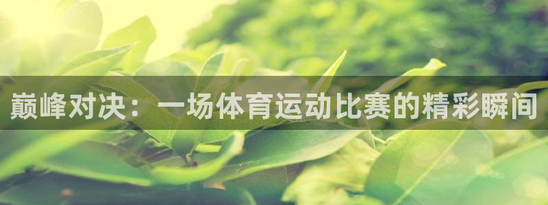 雨燕体育直播免费高清：巅峰对决：一场体育运动比赛的精彩瞬间