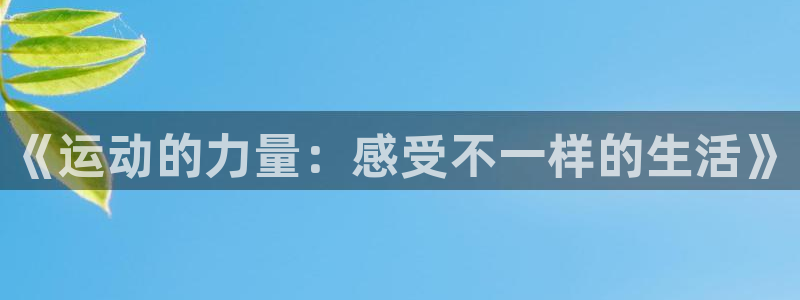 雨燕360体育：《运动的力量：感受不一样的生活》