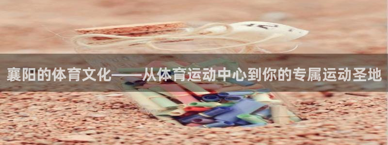 鲸鱼体育雨燕：襄阳的体育文化——从体育运动中心到你的专属运动圣地