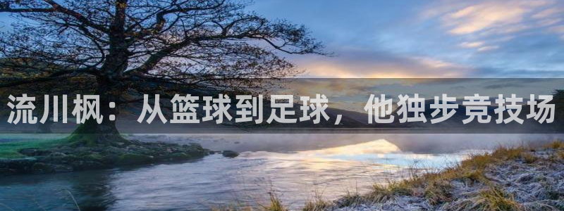 雨燕app官方下载iOS：流川枫：从篮球到足球，他独步竞技场