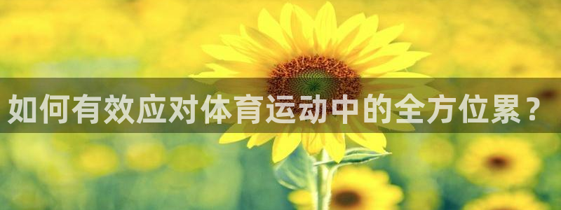 雨燕360体育直播：如何有效应对体育运动中的全方位累？