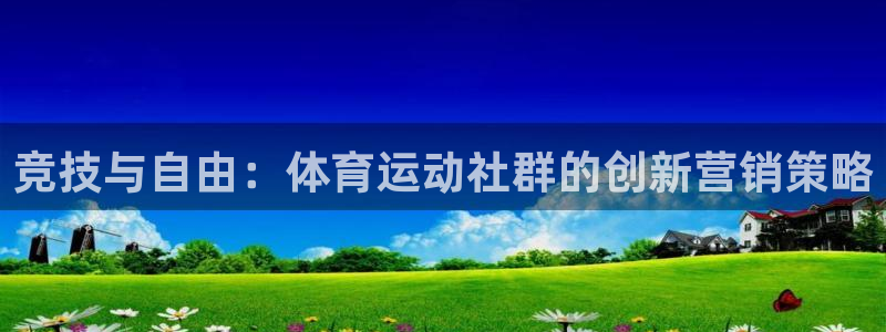 雨燕obd手册：竞技与自由：体育运动社群的创新营销策略