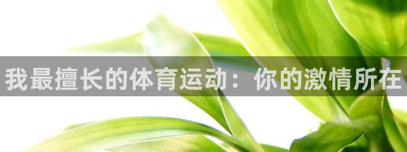 雨燕u17女足世界杯直播：我最擅长的体育运动：你的激情所在