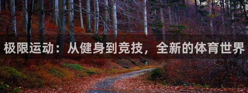 雨燕足球：极限运动：从健身到竞技，全新的体育世界