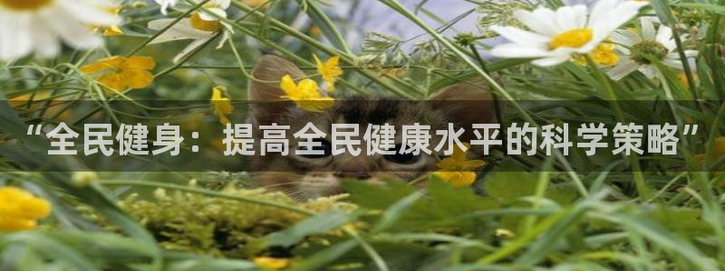 雨燕正在直播NBA赛场：“全民健身：提高全民健康水平的科学策略”