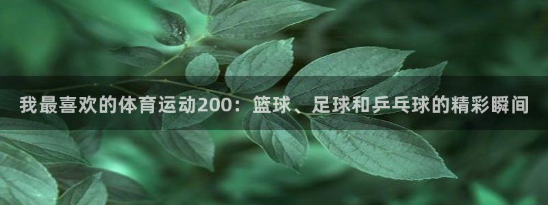 雨燕直播网：我最喜欢的体育运动200：篮球、足球和乒乓球的精彩瞬间