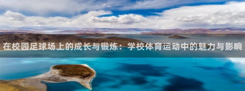 雨燕cba直播高清免费直播：在校园足球场上的成长与锻炼：学校体育运动中的魅力与影响
